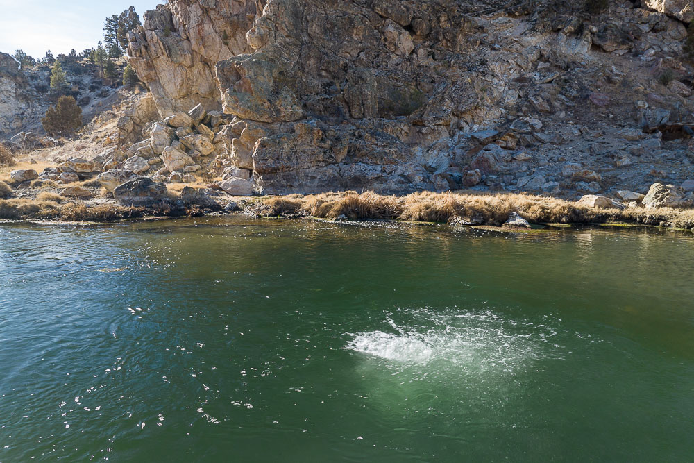 bubbling water in hot creek in mammoth lakes california