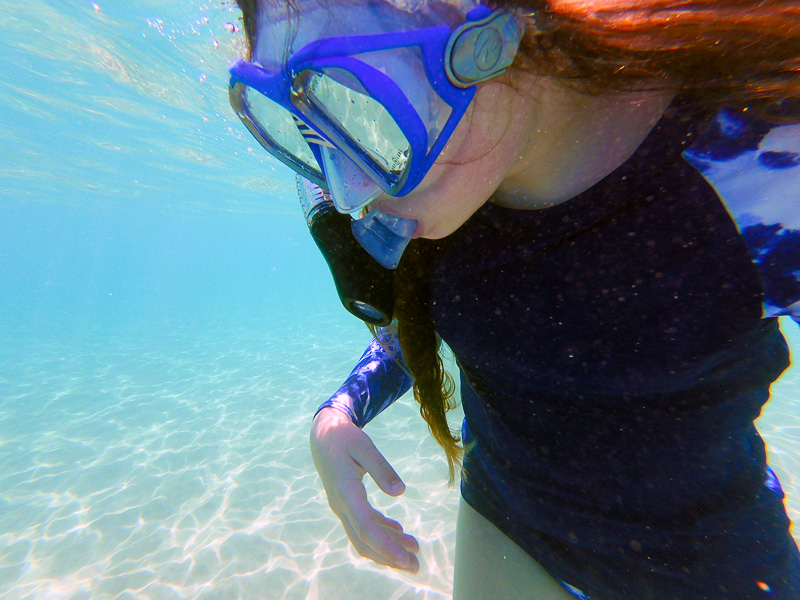 girl snorkeling in clear waters in maui