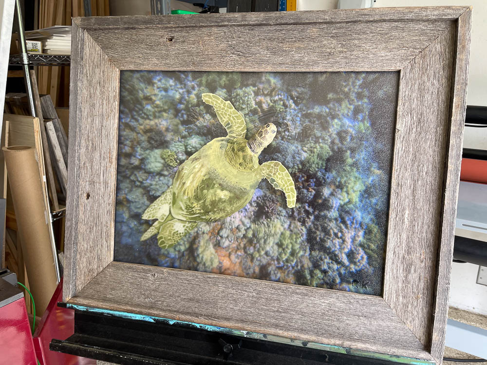 green sea turtle oil painting with head sticking out of plexiglass