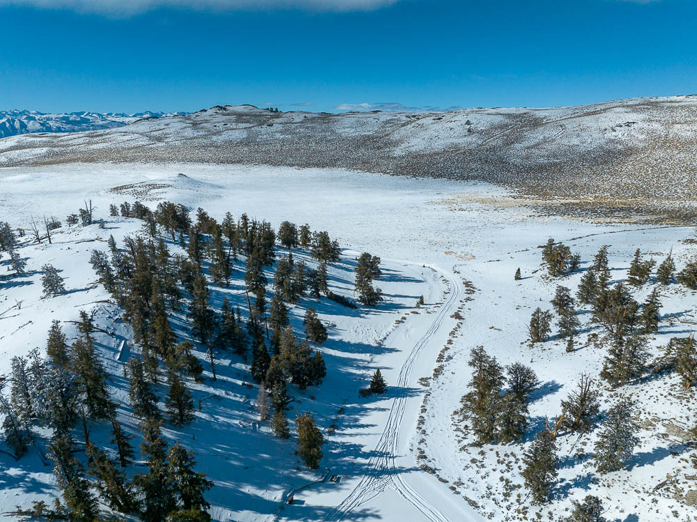 the access road to the bristlecone pine forest visitor center covered in snow