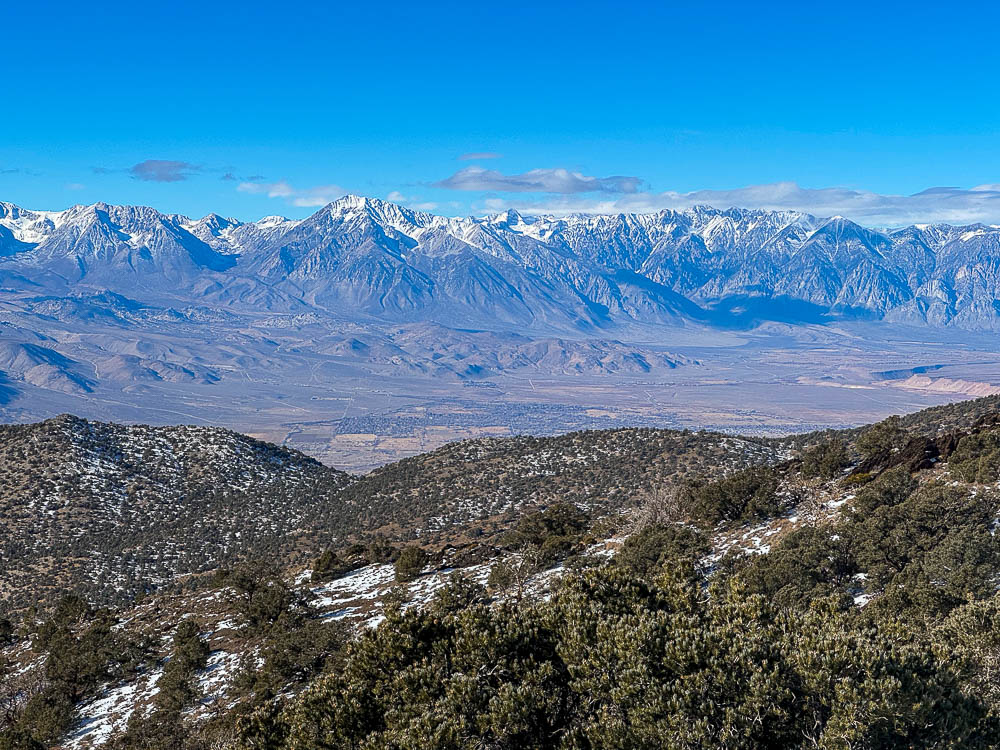 view of bishop in owens valley from bristlecone pine forest